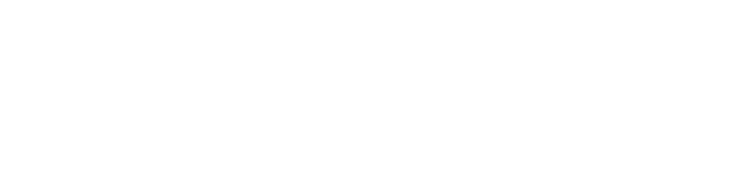 pragmatik777